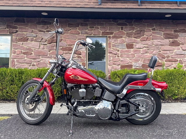 Softail® Custom
