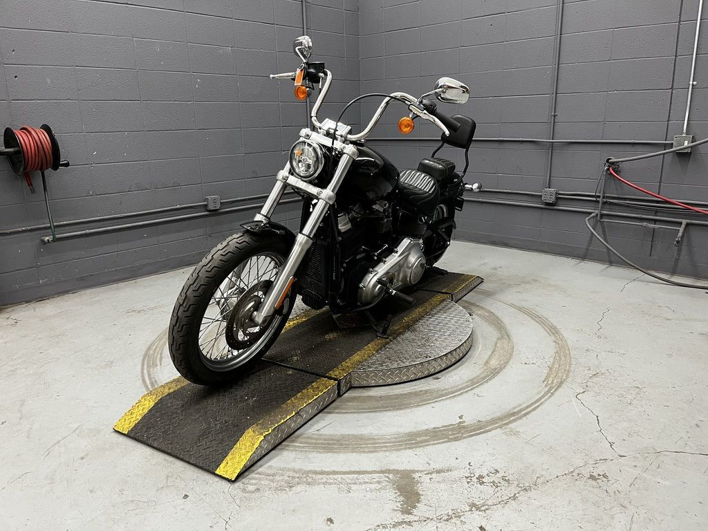 Softail® Standard
