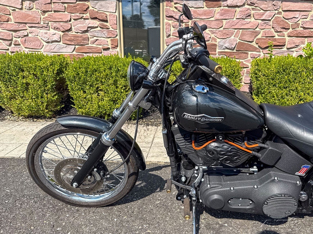 Softail® Night Train®