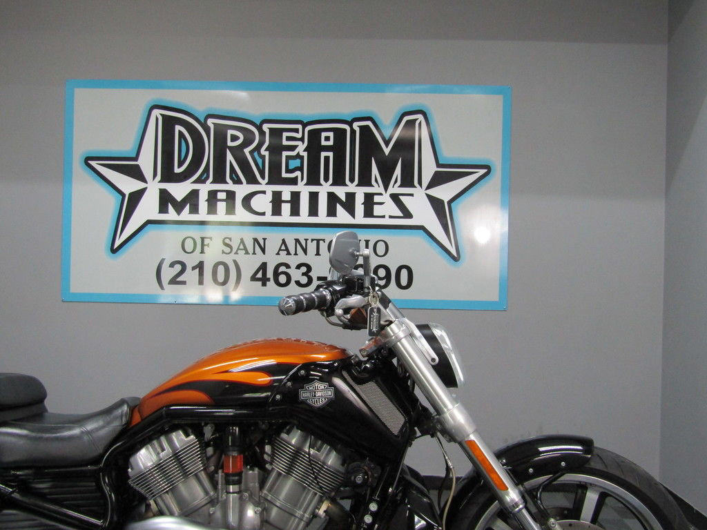 V-Rod® Muscle