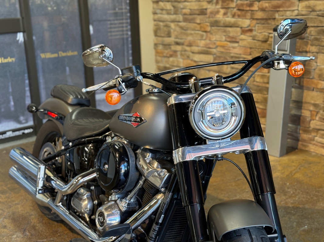 Softail® Slim®