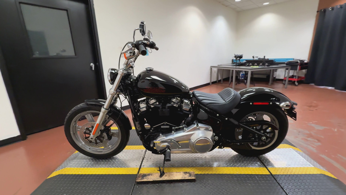 Softail® Standard