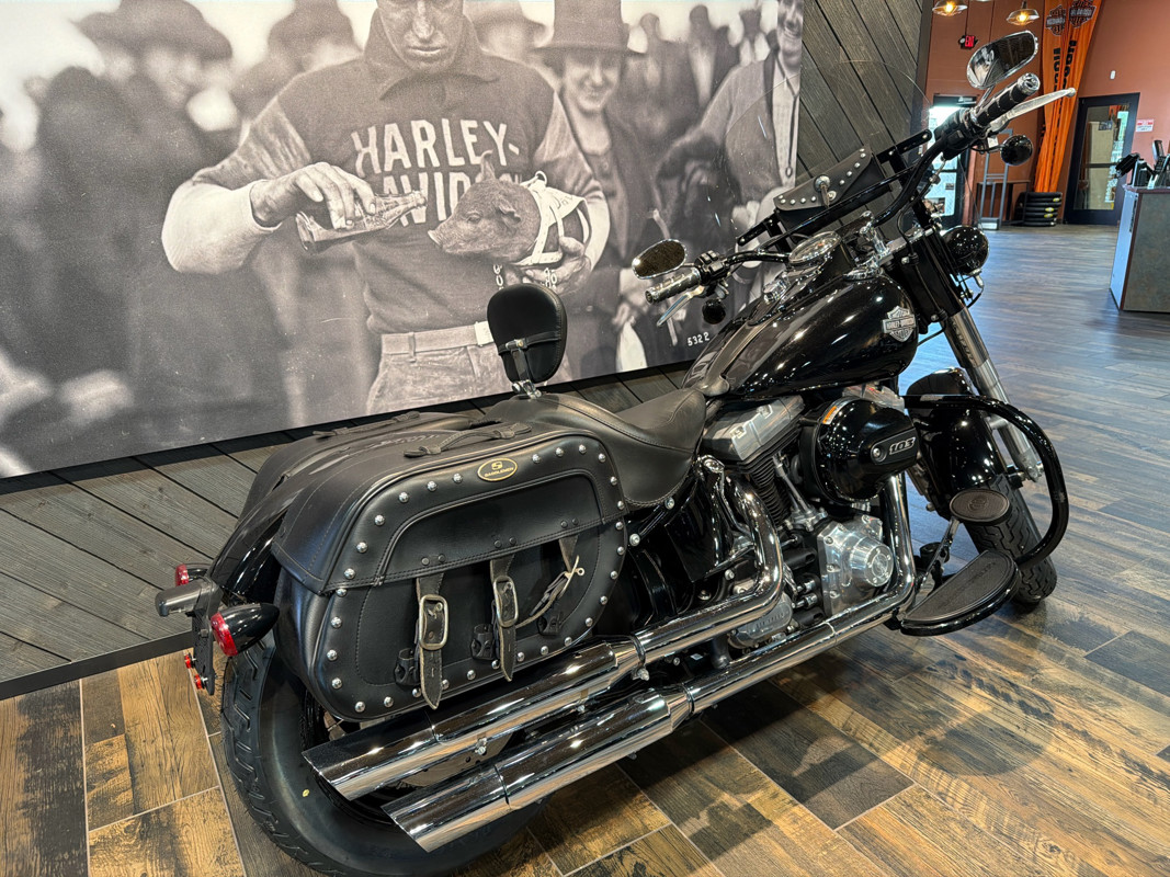Softail® Slim®