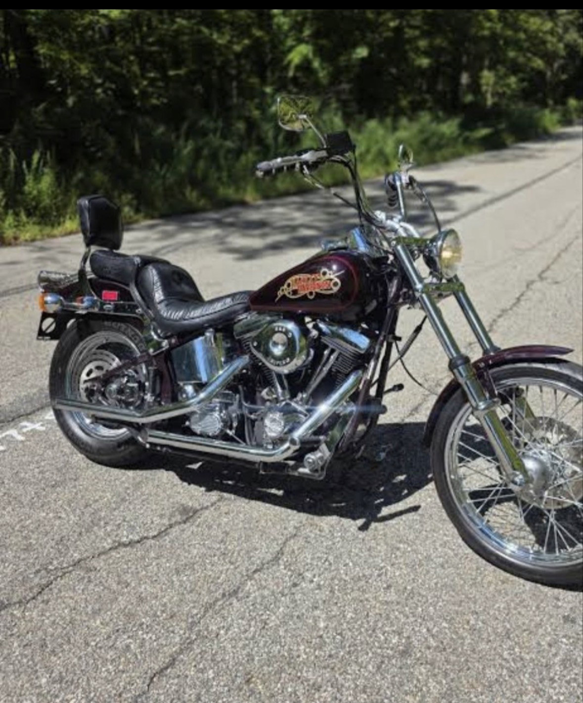 1988 Harley-Davidson® FXSTC Softail® Custom for Sale in Pine city