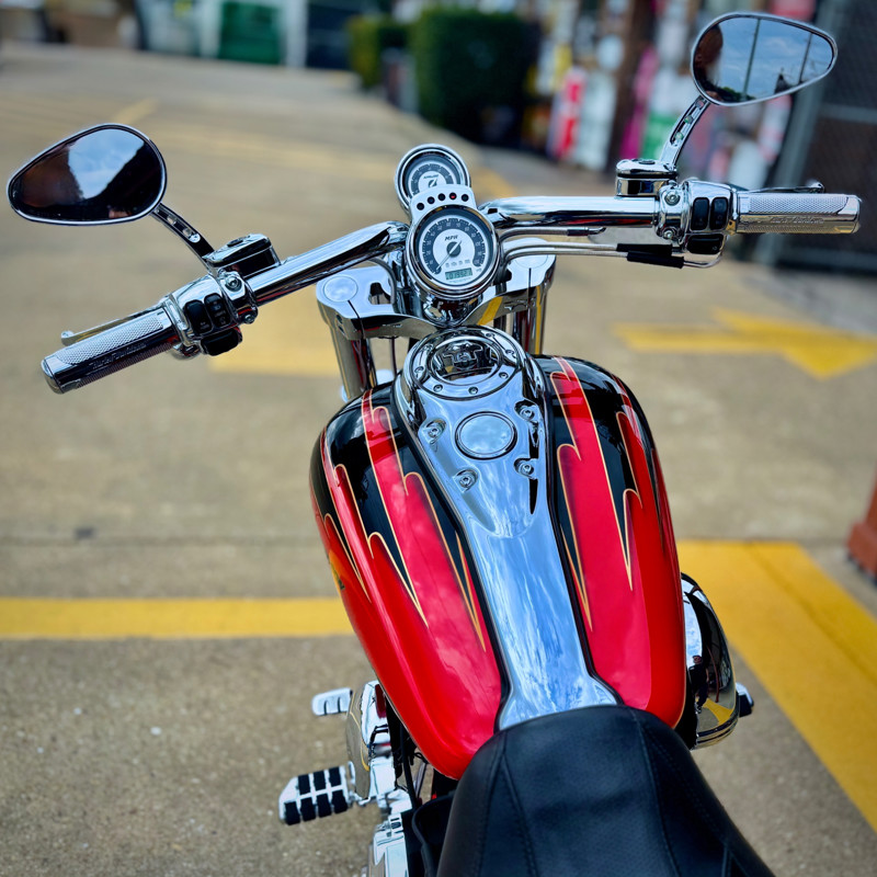 Screamin' Eagle® Dyna®