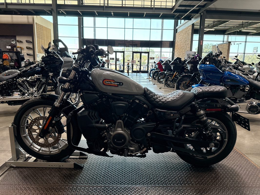 Nightster Special