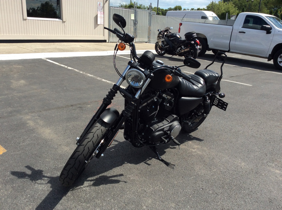 Sportster® Iron 883®