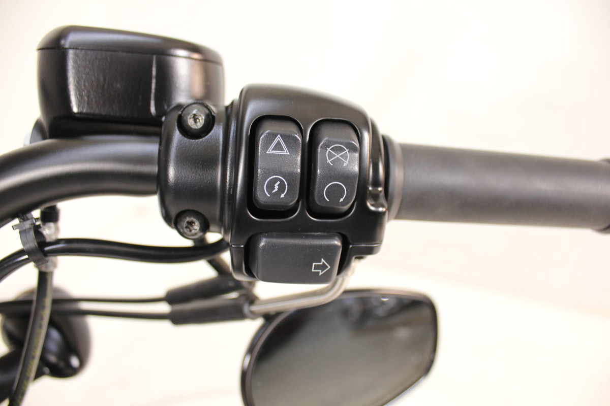 Sportster® Forty-Eight®