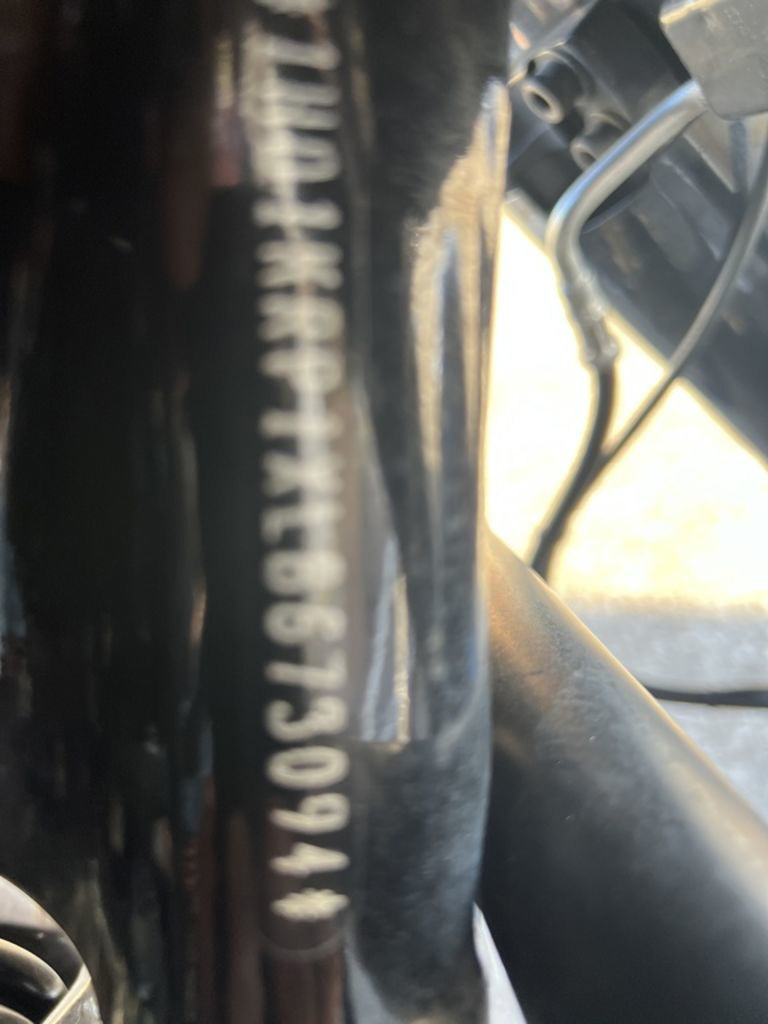 Street Glide® Special