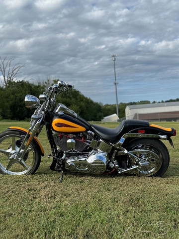 Softail® Springer® 