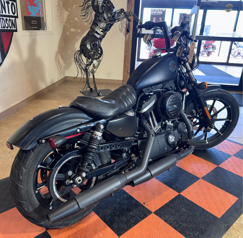Iron 883®