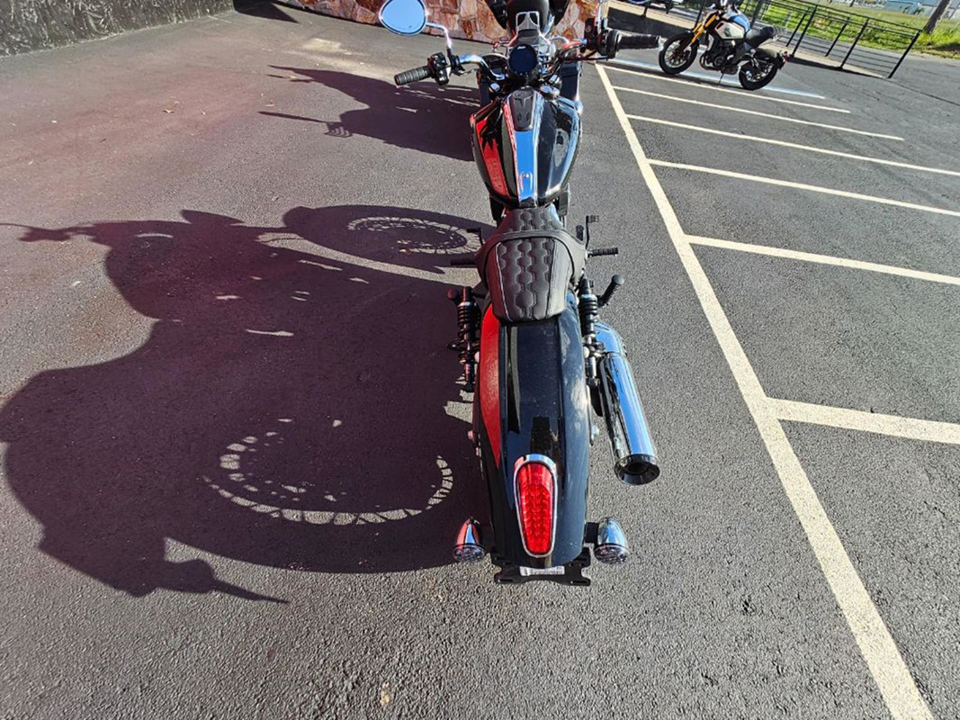 Scout Classic Limited