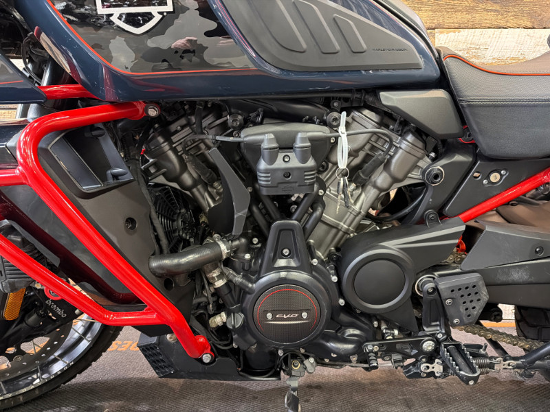 CVO® Pan America®