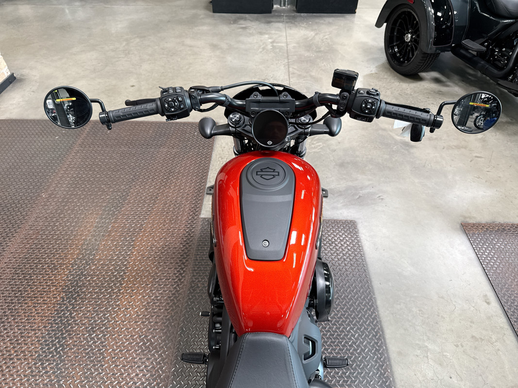 Nightster Special