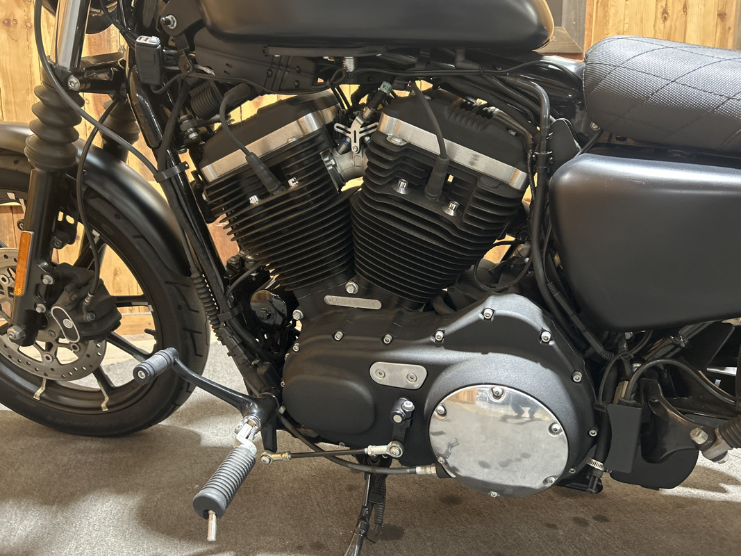 Iron 883®