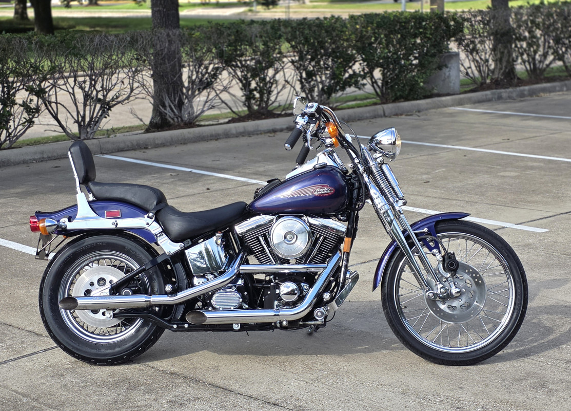 Springer® Softail®