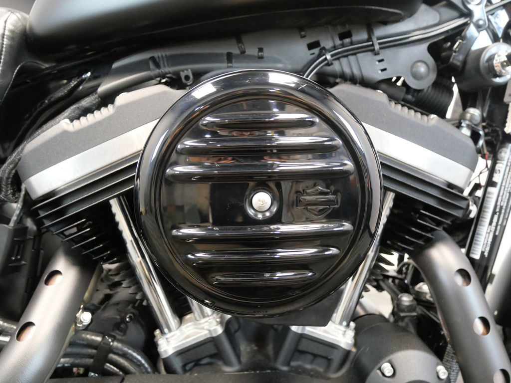 Iron 883®