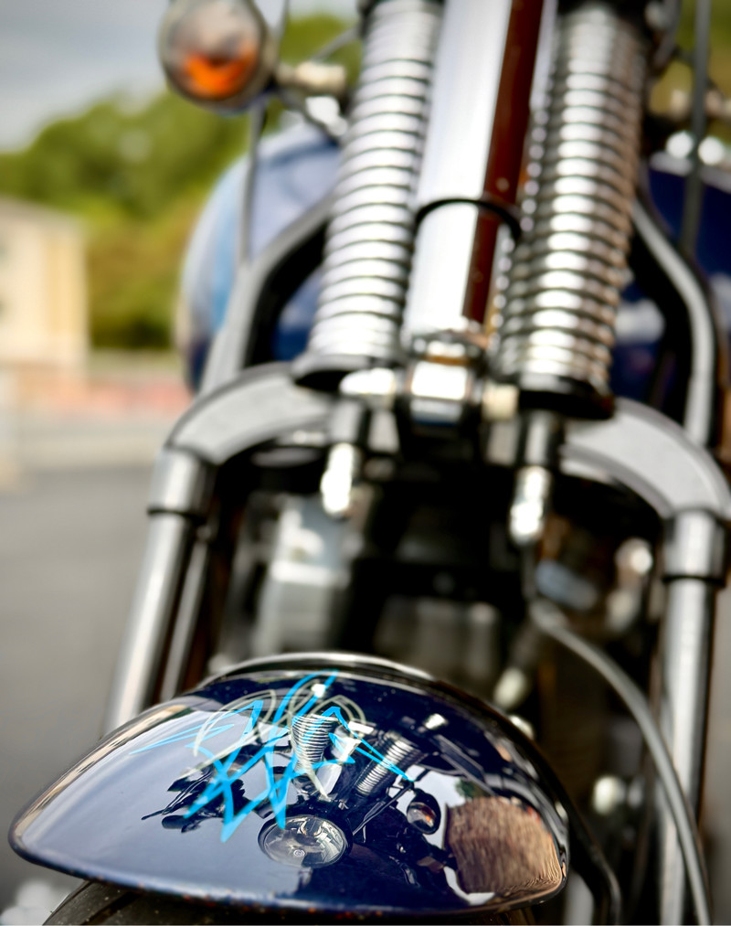 Softail® Cross Bones®