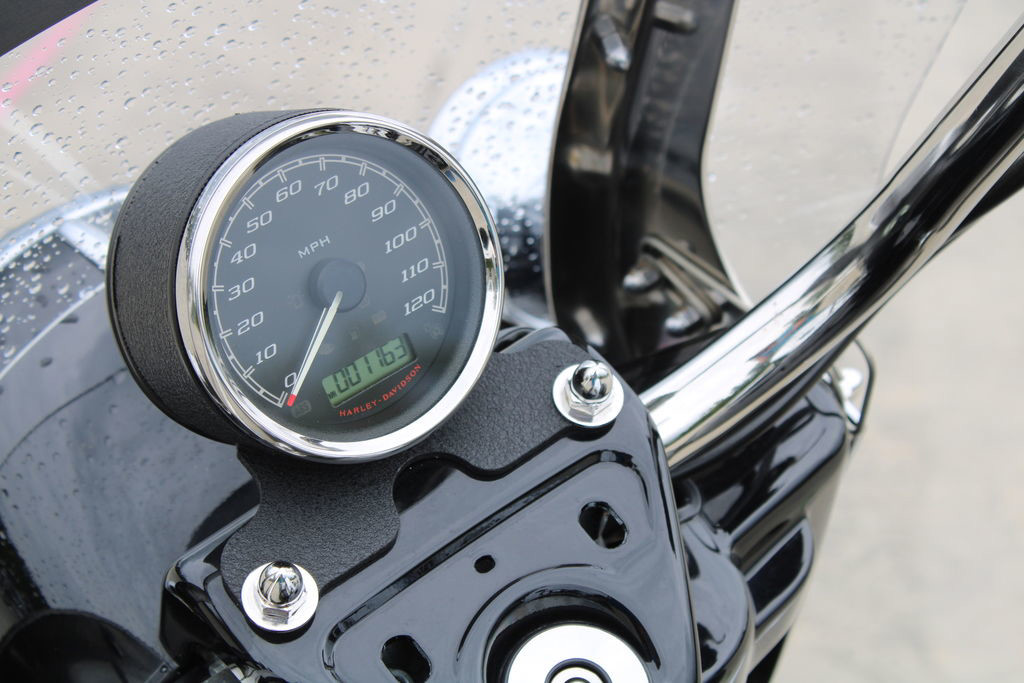 Electra Glide® Police