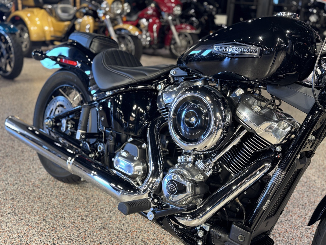Street Bob®