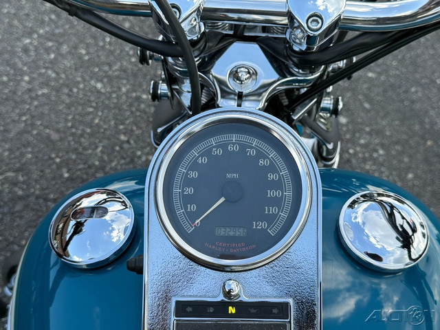 Springer® Softail®
