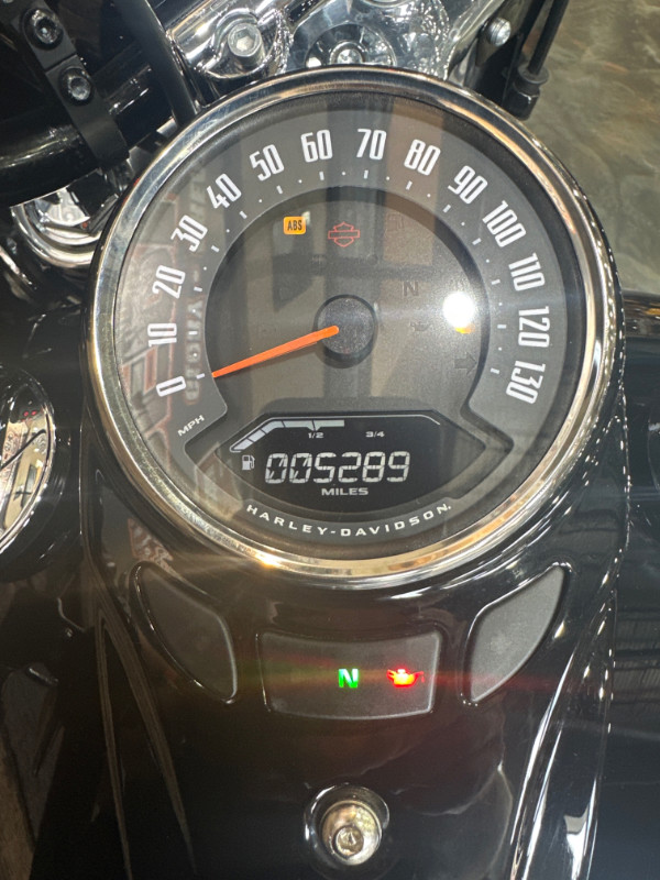 Softail® Heritage Classic 114