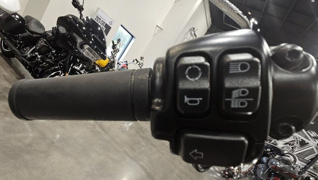 Dyna® Street Bob®