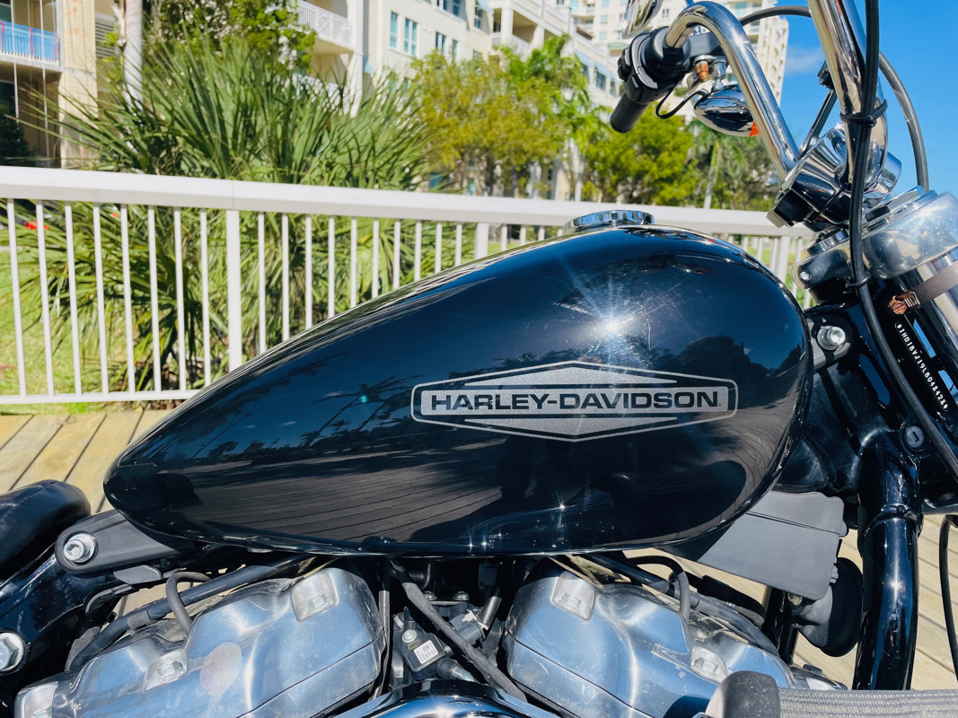 Softail® Standard