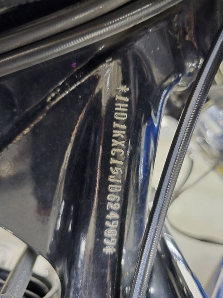 Street Glide® 115th Anniversary