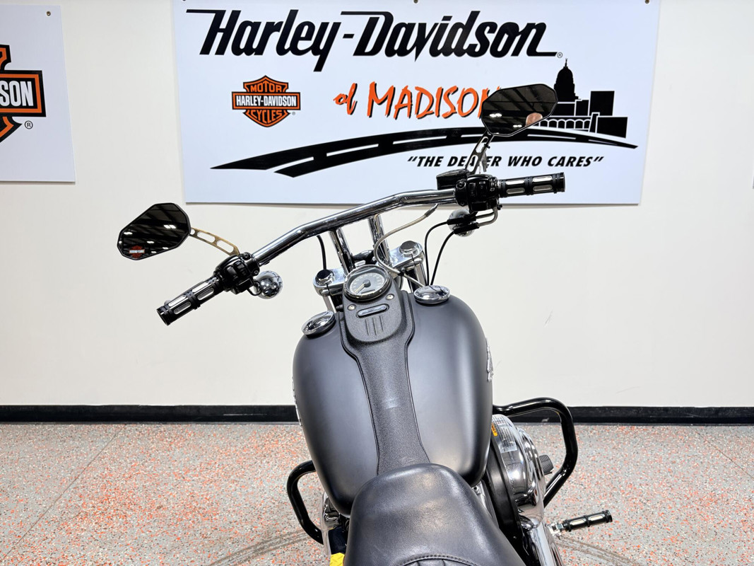Dyna® Street Bob®