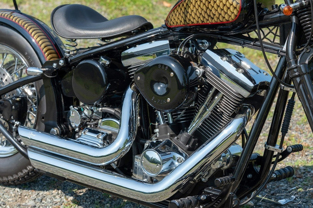 Softail® Standard