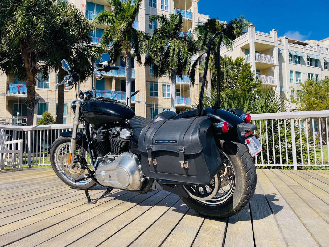 Softail® Standard