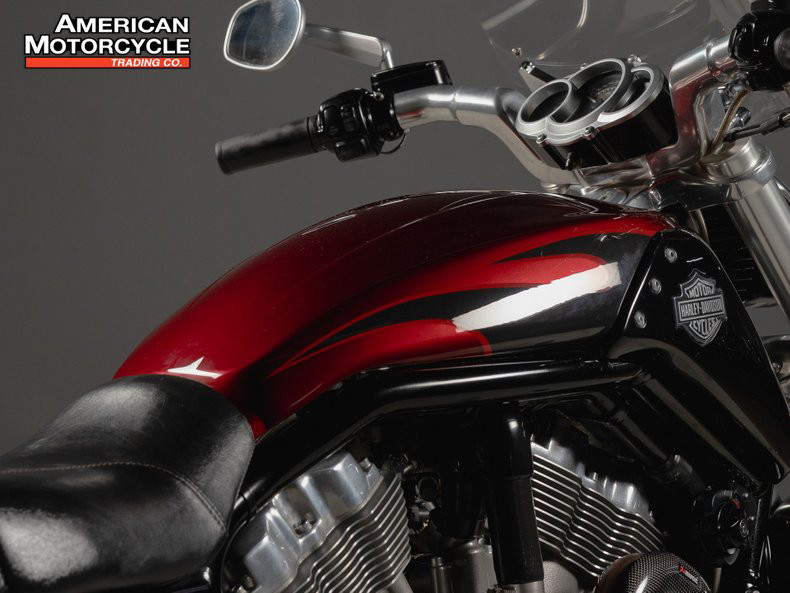 V-Rod® Muscle
