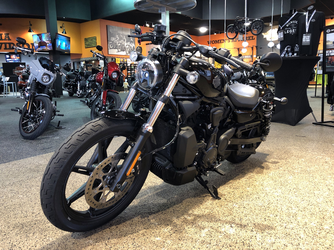Nightster