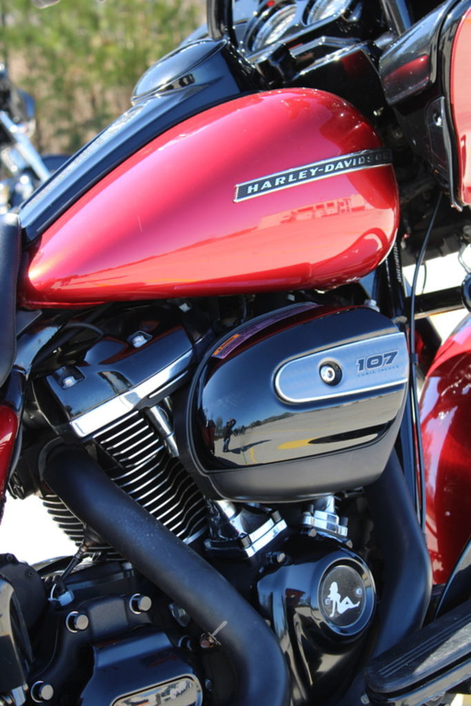 Road Glide® Special