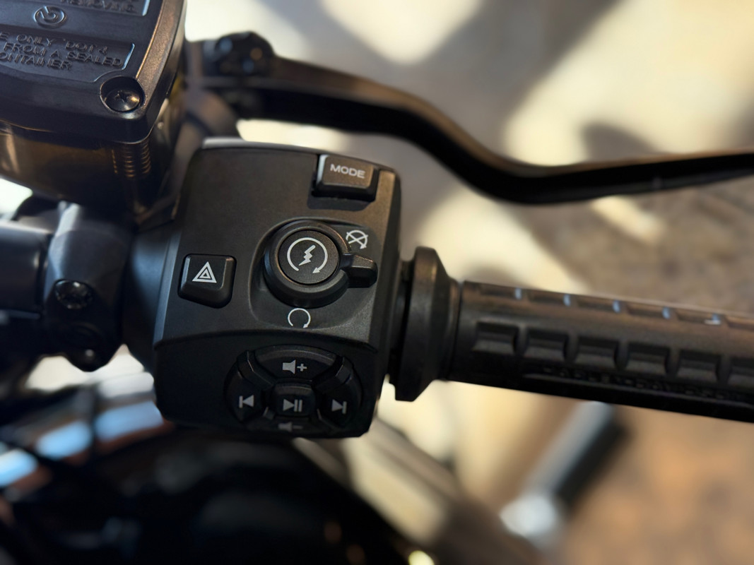 Sportster® S