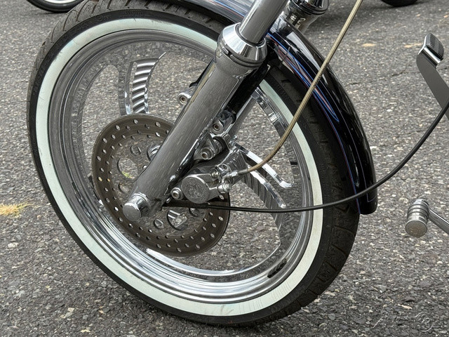 Softail® Custom