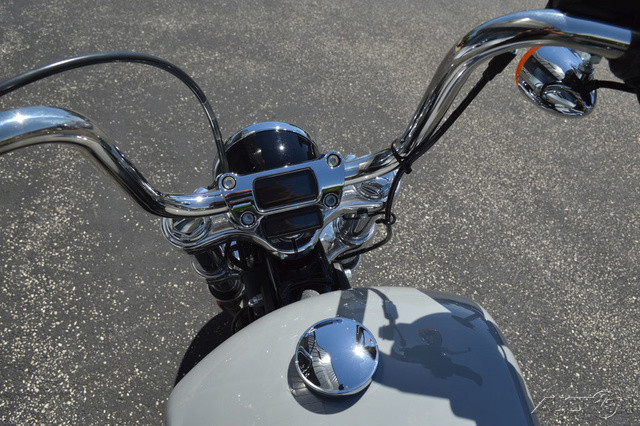 Softail® Standard