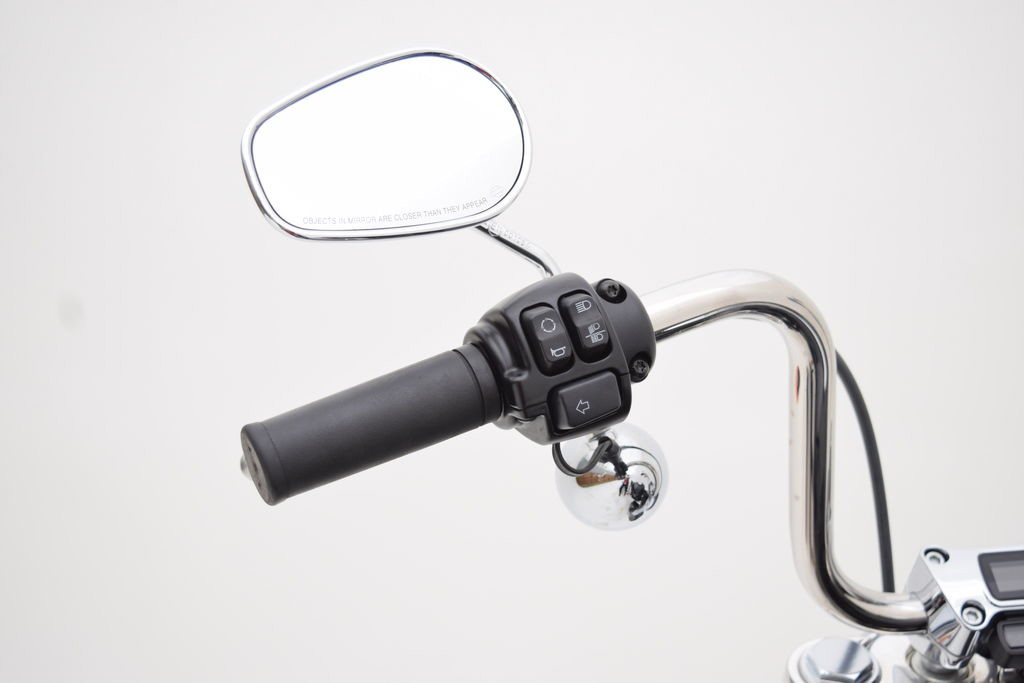 Softail® Standard