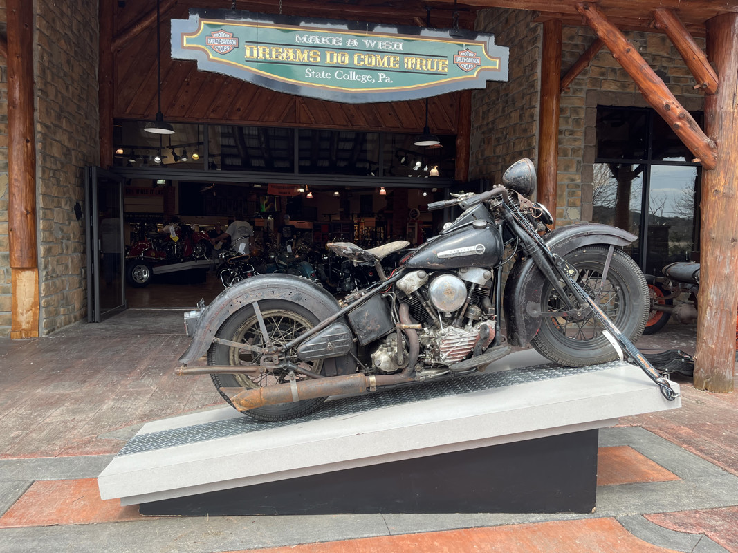 Special Sport Solo Knucklehead