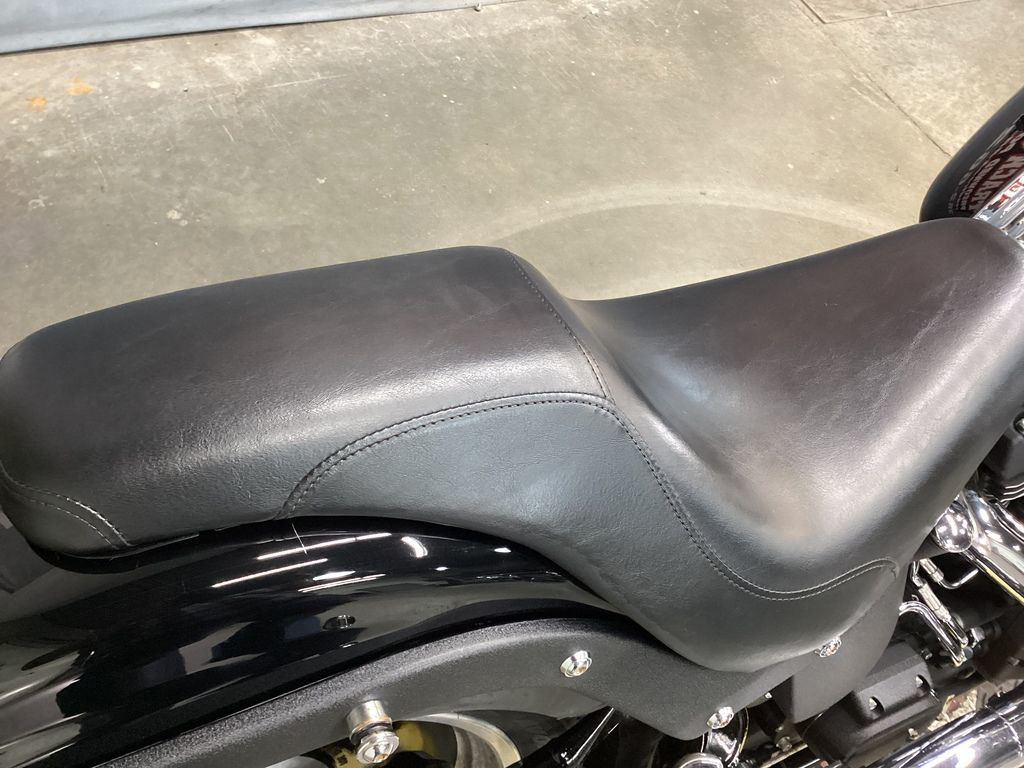 Softail® Night Train®