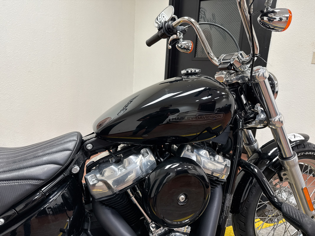Softail® Standard