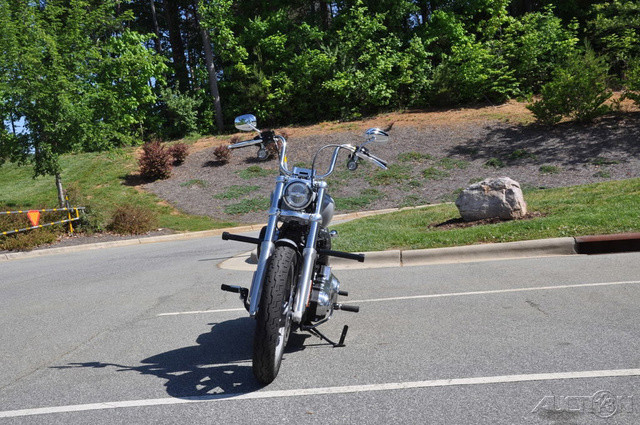 Softail® Standard