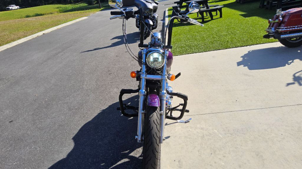 Sportster® 1200 Low