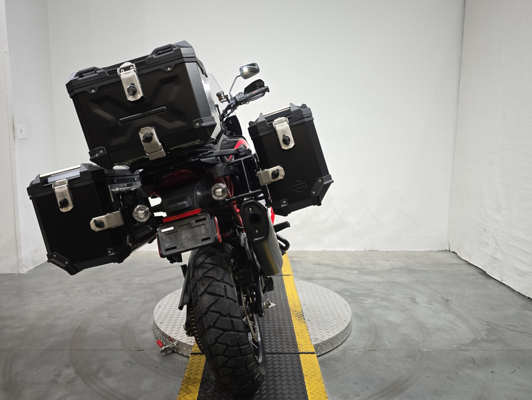 CVO® Pan America®
