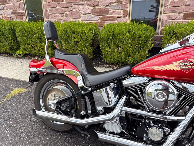 Softail® Custom