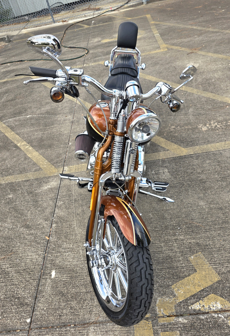 Screamin' Eagle® Softail® Springer® Anniversary