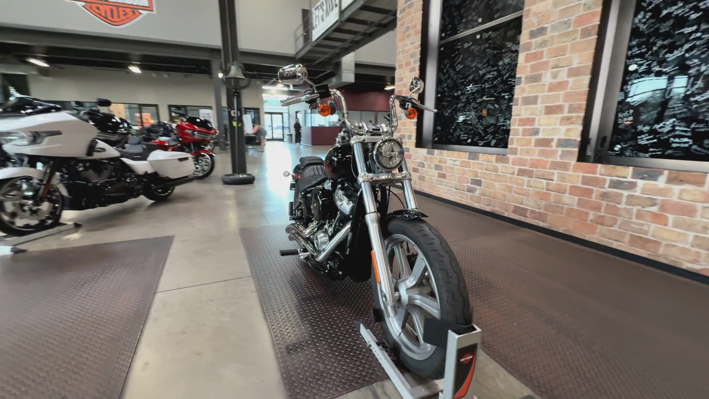 Softail® Standard