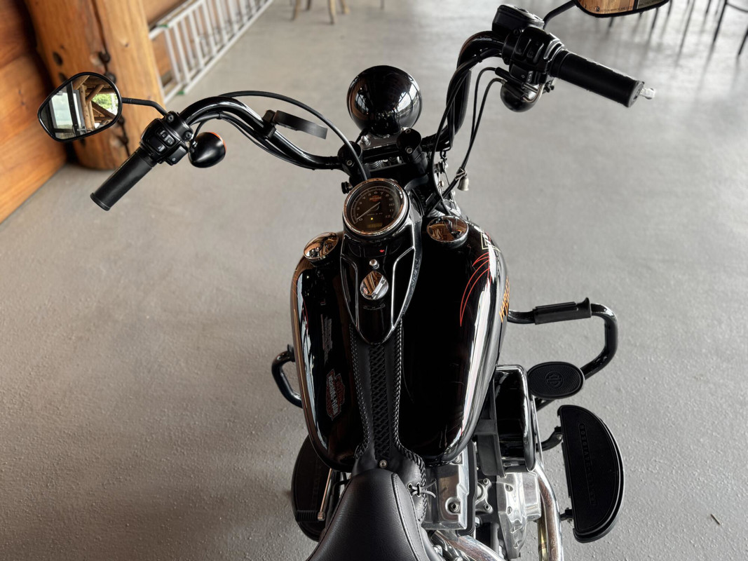 Softail® Cross Bones®