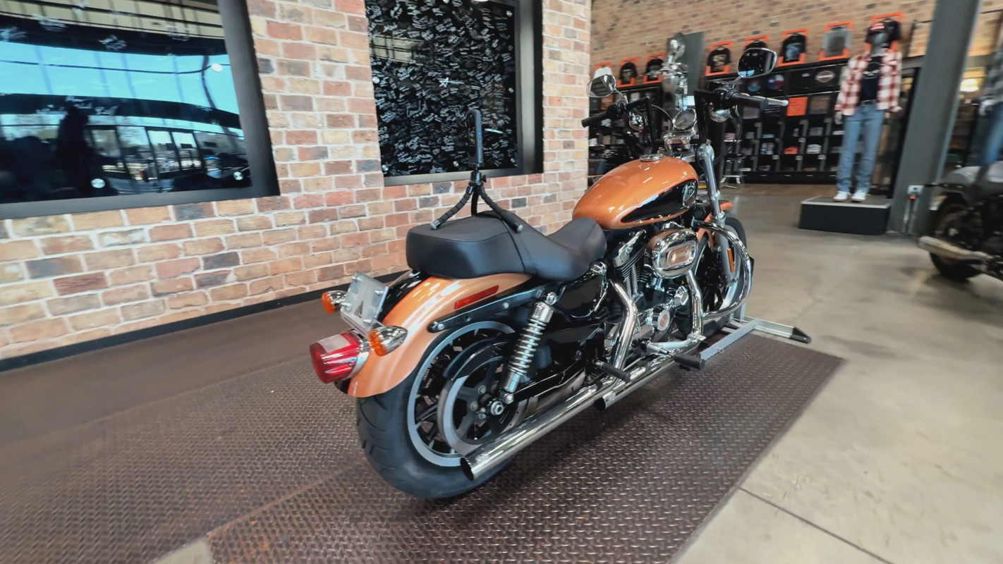 Sportster® 1200 Low Anniversary